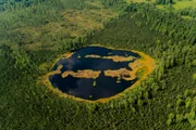 Unsere Moore liegen wie Inseln in unserer Kulturlandschaft. Letzte Reste einer Natur, die vor 10.000 Jahren weite Flächen Europas prägte. Während sich das Landschaftsbild seit dieser Zeit fast überall in Mitteleuropa extrem veränderte, erlauben die wenigen Moore, die der Trockenlegung und Abtorfung entgingen, einen Blick in eine längst vergangene Zeit.