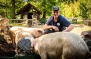 Spreewaldbauer Kilka bei der Schweinefütterung