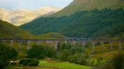 West Highland