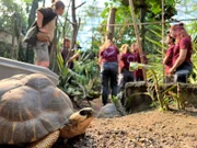 Strahlenschildkröte und Praktikanten mit Martina Hacker im Zoo Leipzig.