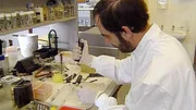 1986 überführt der Molekularbiologe Dr. Alec Jeffreys den Mörder eines 15-jährigen Mädchens erstmals anhand der DNA.