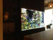 Location: Key Largo, Florida, USA: The reef fish aquarium for Diane Hill's new home in the Florida Keys.