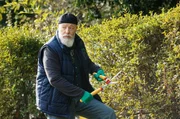 Reinhard Bielefelder (Bill Mockridge) tarnt sich als Gärtner. Reinhard Bielefelder (Bill Mockridge) tarnt sich als Gärtner.