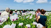 Der „Verein für Tschechischen Blaumohn“ lädt regelmäßig seine Mitglieder zu Info-Tagen ein. Regelmäßig tauschen sie sich über neue Anbaumethoden und Schädlingsbekämpfungen aus.