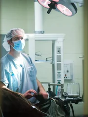 Dr. Sykes with Bison Calf at Wildlife Health Center.