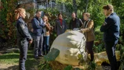 Der leidenschaftliche Kürbiszüchter Ole Janson (Jens Schäfer, 2.v.l.) und seine Frau Birgit (Jessica Kosmalla, 3.v.l.) trauern um ihren über 500 Kilogramm schweren Kürbis. Es scheint als sei dies erstmal kein Fall für die SOKO Wismar. Doch noch ahnen die Ermittler um Karoline Joost (Nike Fuhrmann, M.), Lars Pöhlmann (Dominic Boeer, 3.v.r.) und Paula Moorkamp (Stella Hinrichs, l.) und Eddi Jansons (Gustavs Gailus, r.) nicht, dass es in diesem Fall um weitaus mehr als den Anschlag auf einen gigantischen Kürbis geht.