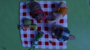 Marilu, Tüftel, Bio, Nö-Nö, Karli Krebs und Undine liegen auf der Picknickdecke (v.l.n.r.).