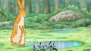Der große und der kleine braune Hase sehen nach dem Gewitter viele Pfützen.