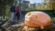 Der ehrgeizige Kürbiszüchter Ingmar Rohrbach wird tot neben seinem Riesenkürbis gefunden. Der 63-Jährige war Hauptverdächtiger für den Angriff auf den "ermordeten" Kürbis Egon. Hat seine Frau Sabine doch mehr unter der Zuchtleidenschaft ihres Mannes gelitten, als sie zunächst zugibt? Inwieweit kann der Vorsitzende des Zuchtvereins den Ermittlern Karoline Joost (Nike Fuhrmann, r.) und Lars Pöhlmann (Dominic Boeer, l.) die Verhältnisse zwischen den Züchtern erklären?