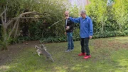 Eric plays with Stevie and Wonder in the backyard with Jackson.