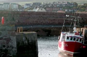 Der pittoreske Fischerhafen von Dunbar