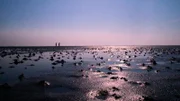 Das Wattenmeer bei St. Peter-Ording.