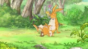 Der kleine braune Hase hat mal wieder unendlich viele schwere Fragen an den großen braunen Hasen. Der große Hase kann gar nicht so schnell antworten, wie der kleine Hase fragt.