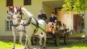 Kutscher, Bad Hall.