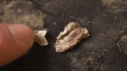 Unbekanntes Material, das bei einer Absturzstelle nahe Roswell gefunden wurde, wird in der University of New Mexico auf seine Herkunft untersucht.