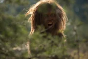 Wann wurde der Mensch zum Fleischesser? Suchte schon Australopithecus sediba die afrikanische Savanne nach der Beute groﬂer Katzen ab?