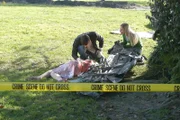 In der Nähe der Absturzstelle eines Flugzeuges wird die Leiche einer jungen Frau gefunden. Ryan Wolfe (Jonathan Togo, hinten l.) und seine Kollegin Calleigh Duquesne (Emily Procter, r.) beginnen mit den Ermittlungen ...