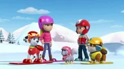 L-R: Marshall, Katie, Cali, Ryder, Rubble