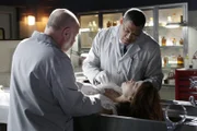 Doc Robbins (Robert David Hall, l.) und Dr. Raymond Langston (Laurence Fishburne) untersuchen die Leiche von Amber Jones (Elizabeth Chomko), die in dem Kofferraum eines Autos gefunden wurde. Pikanterweise handelt es sich um die Geliebte des Kongressabgeordneten Griffin...