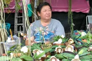 Orchideenzüchter Khun Thee präsentiert auf dem Chatuchak-Markt seine prächtigsten Blüten und Neuzüchtungen.