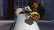 Skipper