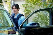 Special Agent Kensi Blye (Daniela Ruah)