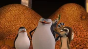 L-R: Private, Skipper, Julien, Fred