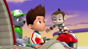 L-R: Rocky, Ryder, Captain Gordy