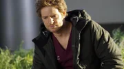 Will Halstead (Nick Gehlfuss)