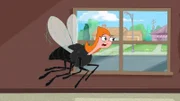 Candace