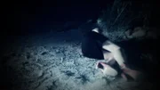 Zwischen 2005 und 2010 ermordete ein Serienkiller vier Frauen in Österreich, immer nach dem gleichen Muster. Bis heute fehlt von ihm jede Spur ...