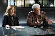 Catherine (Marg Helgenberger) und D.B. Russell (Ted Danson) versuchen durch intensive Befragungen herauszufinden, wer von den Beschuldigten die Wahrheit sagt oder lügt.