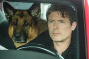 Rex (DIESEL VOM BURGIMWALD) and Charlie (JOHN REARDON)
