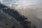 Die streng geschützte Natur auf Spiekeroog gehört zum Nationalpark Wattenmeer.