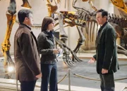 Zeugenbefragung: Nathan Fillion als Richard Castle (l.) (Copyright SF)