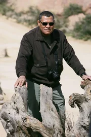 Laurence Fishburne (Dr. Raymond Langston).