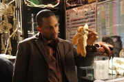 C.S.I. NY "Giftiger Cocktail". Im Bild: Hill Harper (Dr. Sheldon Hawkes).