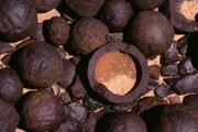 Moqui Marbles, Steinkugeln umgeben von Eisenoxid (Wüstenlack) Grand Staircase Escalante Utah, US
