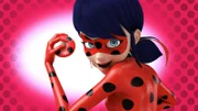 Lady Bug