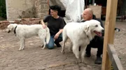 Dorrit und Thomas mit "Yeti und Knut".  +++ Die Verwendung des sendungsbezogenen Materials ist nur mit dem Hinweis und Verlinkung auf RTL+ gestattet.