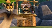 Julien finds a bag of coffee beans in the Cove of Wonders and gets the entire lemur community hooked on caffeine.