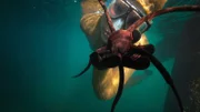 Anna von Boetticher mit einem Brittle star Seestern bei Whangarei in Neuseeland.
