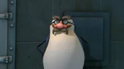 Skipper