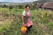 Marilena Bacisor bei der Maisernte: In den siebenbürgischen Dörfern leben noch viele Familien als Selbstversorger, ohne moderne industrialisierte Landwirtschaft.