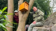 Luca (l.) und Ruben Holland (r.) hängen Nistkasten auf im Zoo Leipzig.