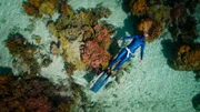 Anna von Boetticher in einem Korallenriff auf Moorea.