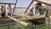 In Toliara im Südwesten von Madagaskar entdecken die jungen Meeresnomaden eine wichtige Ressource der Insel: die erstaunlich nährstoffreiche Spirulina-Alge, die täglich Zehntausenden Menschen als wichtiges Nahrungsergänzungsmittel dient.
