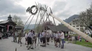 Maibaumaufstellen in Payerbach.