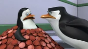 L-R: Private, Skipper