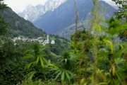 Mit dem Postauto durch die Schweiz Im Palm Express bis ins Tessin Das schönste Dorf der Schweiz: Soglio im Bergell.